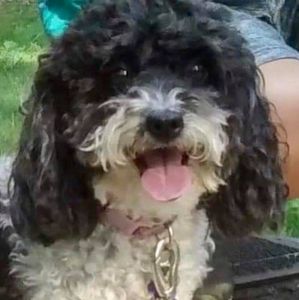 Meet your Posher, Cathy